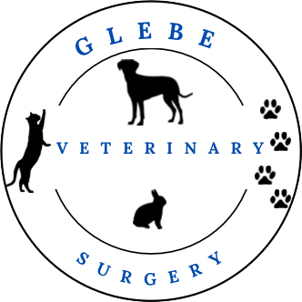 Glebe Veterinary Surgery logo image